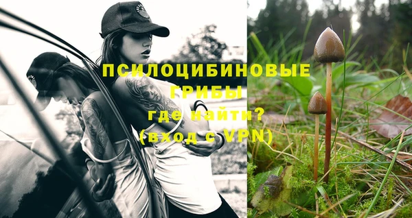 спайс Сафоново